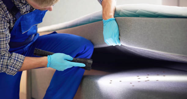 Best Cockroach Control Services  in Adams, WI
