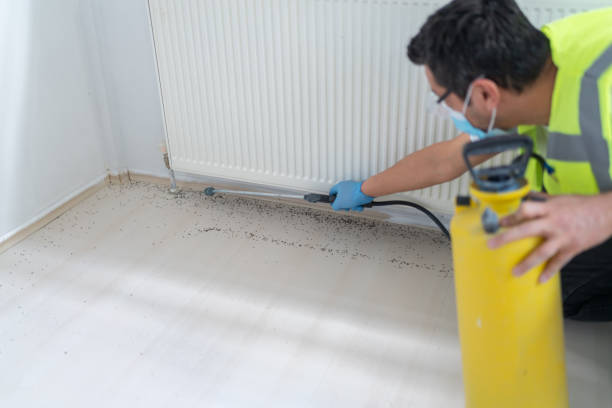Best Cockroach Control Services  in Adams, WI