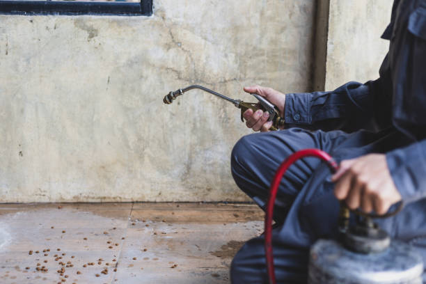 Best Flea Control Services  in Adams, WI