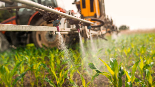 Reliable Adams, WI Pest Control Solutions